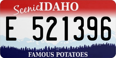 ID license plate E521396