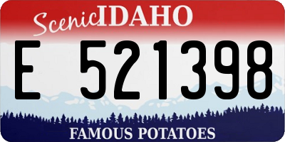 ID license plate E521398