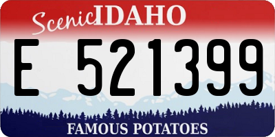 ID license plate E521399