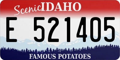 ID license plate E521405