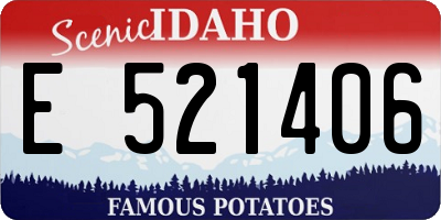 ID license plate E521406