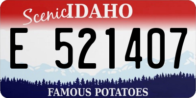 ID license plate E521407