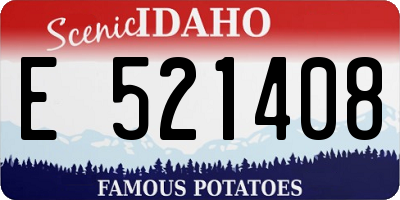 ID license plate E521408