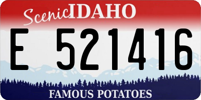 ID license plate E521416