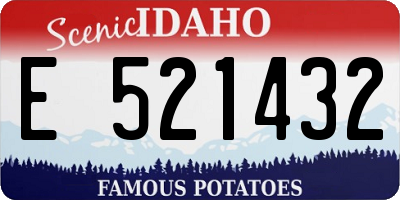 ID license plate E521432