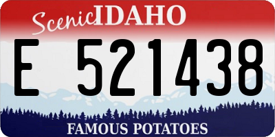 ID license plate E521438
