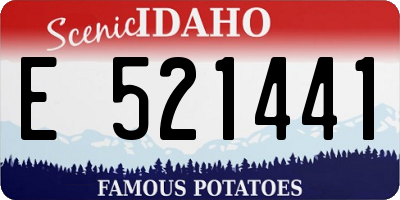 ID license plate E521441