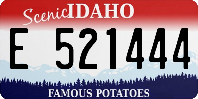 ID license plate E521444