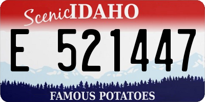 ID license plate E521447