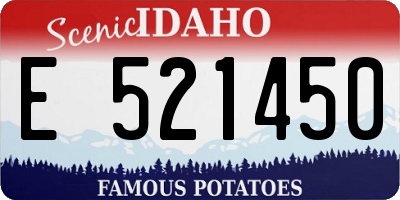 ID license plate E521450