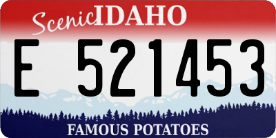 ID license plate E521453