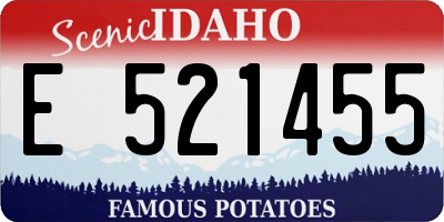 ID license plate E521455