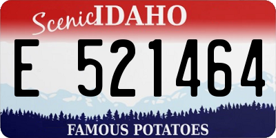 ID license plate E521464