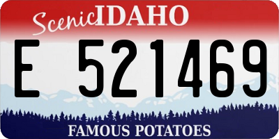 ID license plate E521469