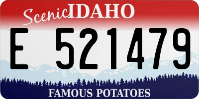 ID license plate E521479