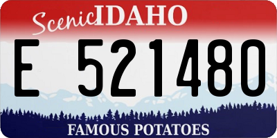 ID license plate E521480