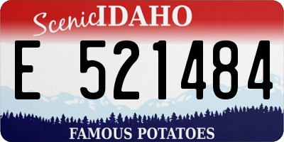 ID license plate E521484