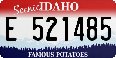 ID license plate E521485