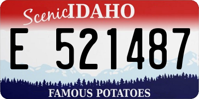 ID license plate E521487