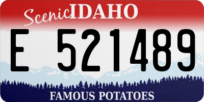 ID license plate E521489