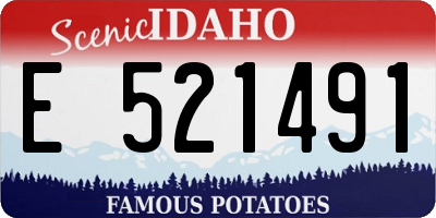 ID license plate E521491