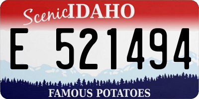 ID license plate E521494