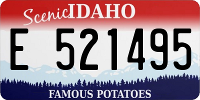 ID license plate E521495