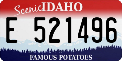 ID license plate E521496