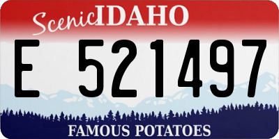 ID license plate E521497