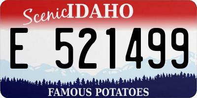 ID license plate E521499