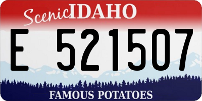 ID license plate E521507