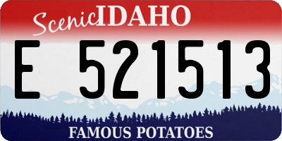ID license plate E521513