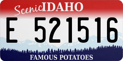 ID license plate E521516