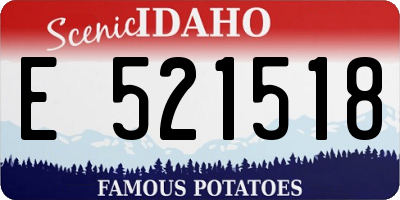 ID license plate E521518