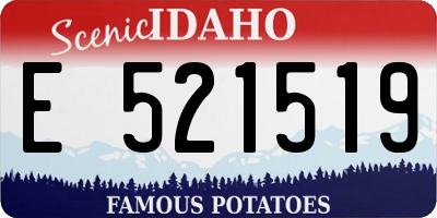ID license plate E521519