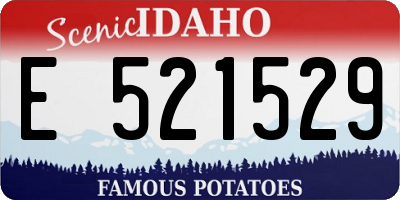 ID license plate E521529