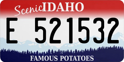 ID license plate E521532