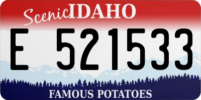 ID license plate E521533
