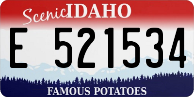 ID license plate E521534