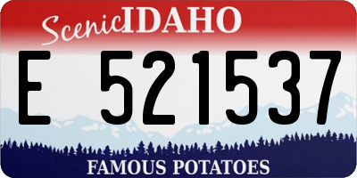 ID license plate E521537