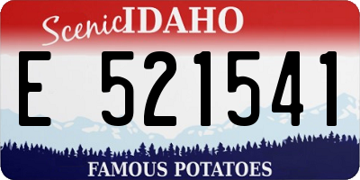 ID license plate E521541