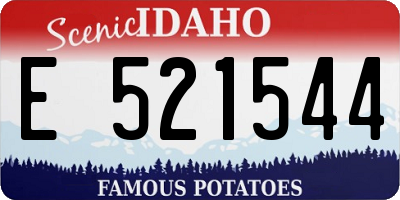 ID license plate E521544