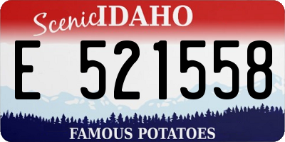 ID license plate E521558