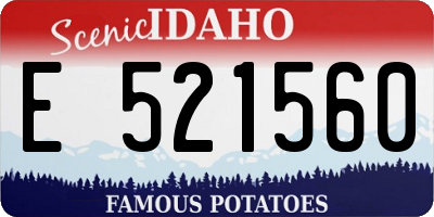ID license plate E521560