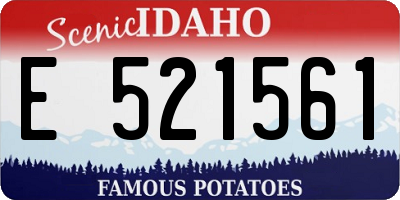ID license plate E521561