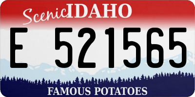 ID license plate E521565
