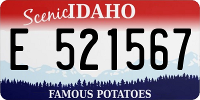 ID license plate E521567