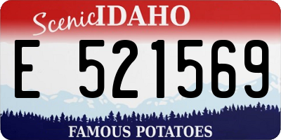 ID license plate E521569