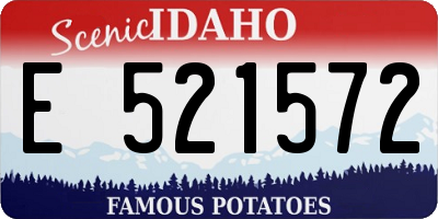 ID license plate E521572