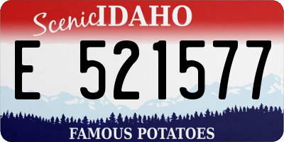 ID license plate E521577